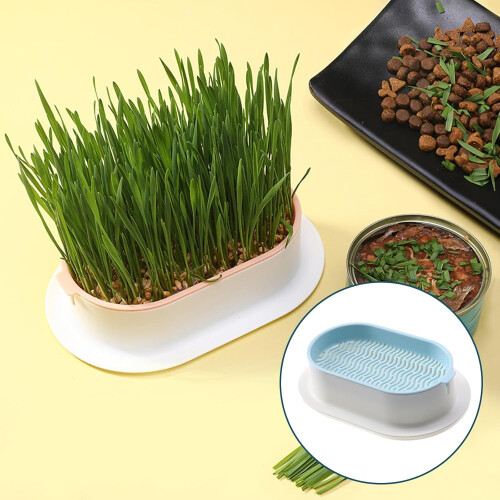 Package With 2 Seedlings Tablets For Vitality Cat Grass Cultivation Belly Ref: 6272 1