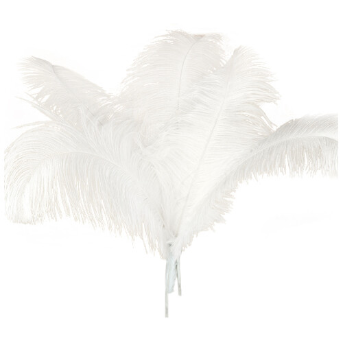 10 pcs Ostrich Feathers Wedding Party Decoration White 45-50cm 1