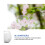 2 inch Magnifying Dome 8X Magnifier Clear Reading Aid Easy to Glide 6