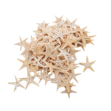 100StüCke NatüRlich Seestern Muschel Btrand NatüRliche Seesterne DIY Strand Haus 1-5Cm