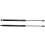 2Pcs Rear Hatch Lift Supports for 2012-2017 3