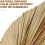 5Pcs Natural Dried Palm Leaves Fans Boho Dry Decor 7
