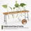 Propagation Stations Desktop Air Plant Terrarium 5