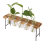 Propagation Stations Desktop Air Plant Terrarium 4