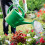 Replacement Shower for Watering Cans, Various Sizes, Green (8x8cm) Ref: 8148 4