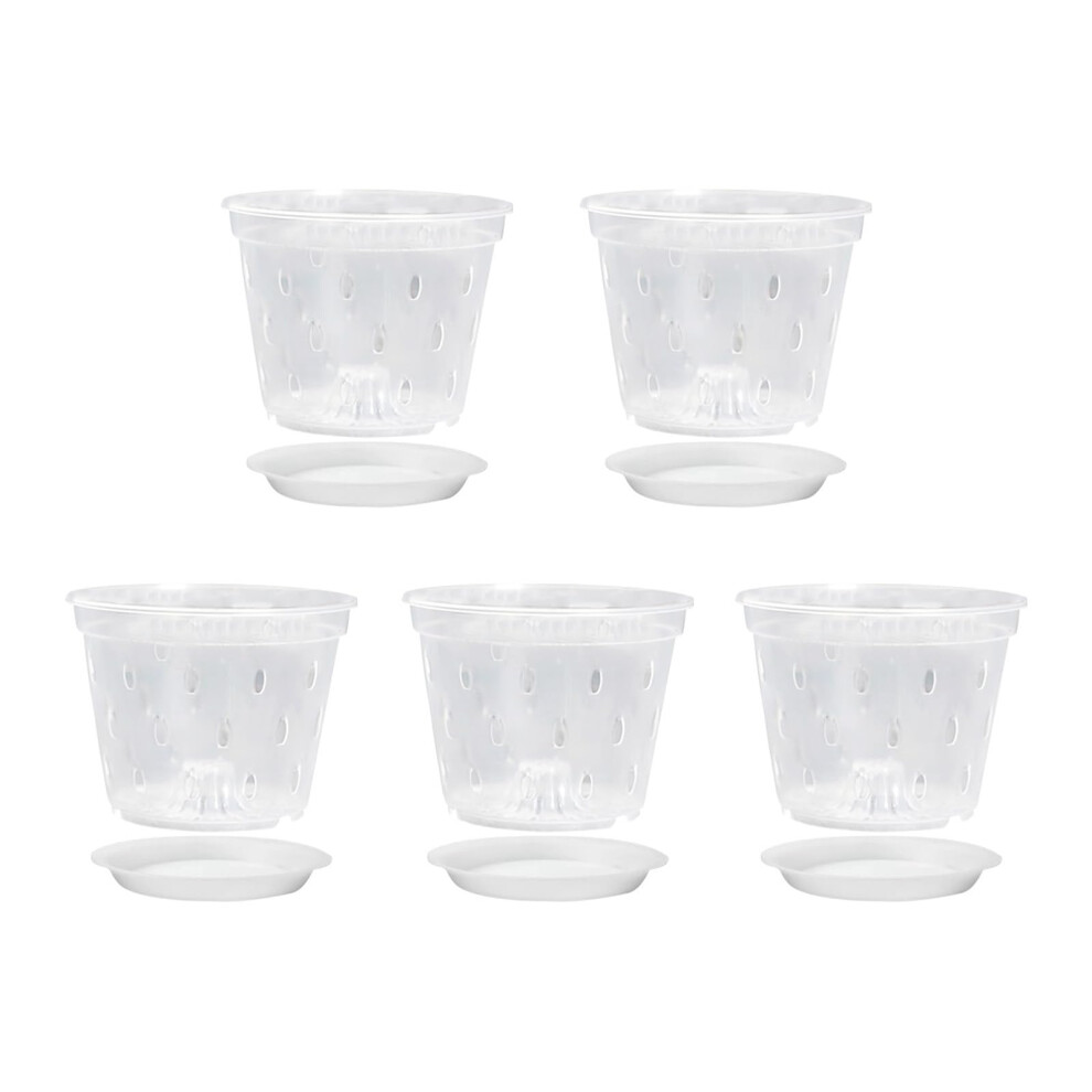 Plant Samling Cup Succulent Orchids Pot Flower Bag Transparent Nutrition Nursery Food Potty Bowl Container 5 Pieces Ref: 1287-image-OPC-PJ5HHD2-NEW