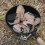 Fast and Efficient Charcoal Ignition Wooden Handle BBQ Tools for Barbecues Ref: 6891 3