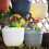 Wall Basket Flower Box Plastic Hanging Pot with S Hooks (Grey) 3