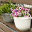 Wall Basket Flower Box Plastic Hanging Pot with S Hooks (Grey) 4