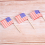 100 American Flag Toothpicks Party Cupcake Decoration Sandwich 10
