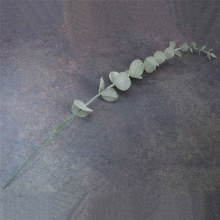 18 Morceaux de Tiges D'Eucalyptus Feuilles Artificielles Branches Tactiles Grises VéRitables