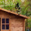 Retro wind direction indicator for roof mounting on the farm 5
