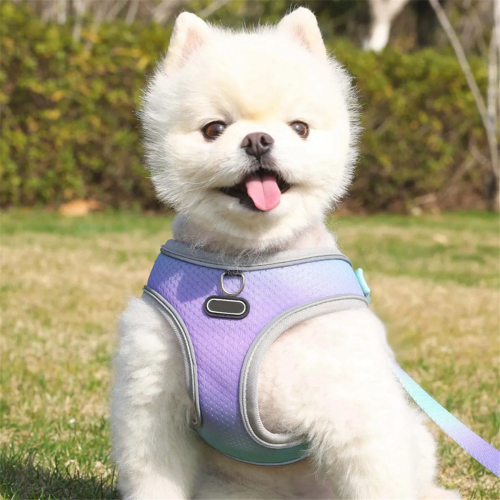 Escape Proof Cat Harness and Leash Set Adjustable Pet (B), S 2