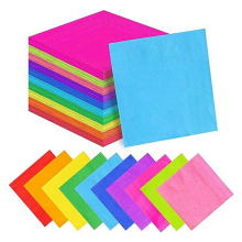 200 Count Cocktail Napkins Disposable for Home& Favors