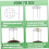 Peony stand, peony support cage, plant stand growing 9