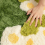 Irregular green and yellow moss carpet 8