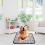 Pet Heating Pad 50x70cm Waterproof Indoor,EU Plug 4