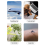 Gardening Watering Timer Automatic Device Garden Balcony New Smart Irrigation System Controller 10