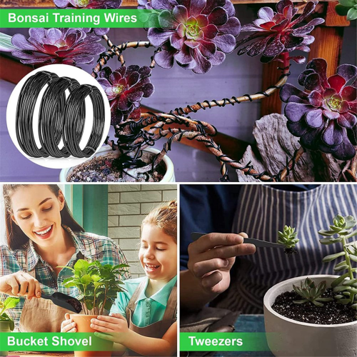 Kit d'outils pour bonsaï 24 pièces, entretien des formes 2