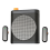 Mini Wireless Microphone Speaker for Teachers, Tour Guides 1