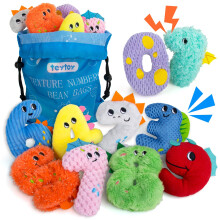 teytoy Texture Sensory Bean Bags Toys for Autism, 10 Fidget Sensory Number Toys with Storage Bag, Develop Fine Motor & Sensory Play for Baby Boys