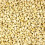 Grape Tree Pine Nut Kernels 1kg 1