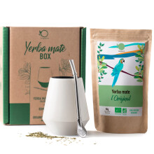 ORIGEENS YERBA MATE SET with Yerba Mate gourd and Bombilla | Organic Yerba Mate Tea in Ceramic Cup | Gift Set