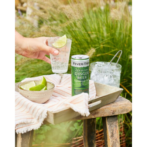 Fever-Tree Refreshingly Light Ginger Beer 6x150ml (Pack of 4, Total 24 Cans) 1