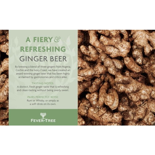 Fever-Tree Refreshingly Light Ginger Beer 6x150ml (Pack of 4, Total 24 Cans) 2