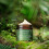 ANTIPODES Avocado Pear Nourishing Night Cream 60ml 2