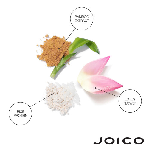 Joico Joico Joifull by Volumizing Conditioner 250ml, (Pack of 1) 2