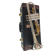 Bach LT180S 72 Professionele B-Kornet in B-groot, Zilverkleurig, Premium Kwaliteit Muziekinstrument Geschenk
