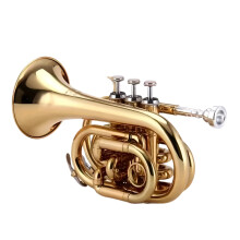 JYHT E100G Professionele B-Flat Pocket Trompet voor Beginners - Draagbaar Jazz Muziekinstrument