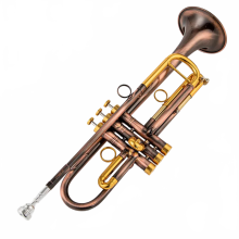Bach LT180S 43 BB Kleine Trompet met Gouden Sleutel - Professioneel Muziekinstrument met Etui