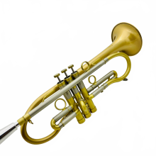 Premium Gouden Koper BB Trompet met Koffer & Accessoires