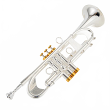 TR600 BB Kleine Trompet - Zilveren en Gouden Toetsen, Professioneel Muziekinstrument met Etui