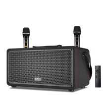 Draagbaar 100W Bluetooth Thuisbioscoop Karaoke Systeem met Draadloze Microfoon en Subwoofer