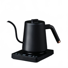 Precisie Pour Elektrische Gooseneck Waterkoker - 600 ml RVS Theepot voor Koffie & Thee