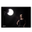 Universal Photography Diffuser Soft Ball Dome 30CM Softbox για Studio 8