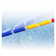 Bojenleinen for swimming pools, Seilschwimmer with 5 Schwimmern, lane dividers (nylon rope, 3m)