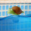 Floating Chlorine Dispenser for 1 and 3 Inch Tablets, Adjustable Float for Pool and Spa 2