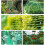 Protective Net for Cats / Balcony Nets / No Drilling / 5x10m 2