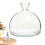Avocado Tree Growing Kit, Avocado Seed Starter Vase, Hydroponic Vase 10x10x2.5cm 1