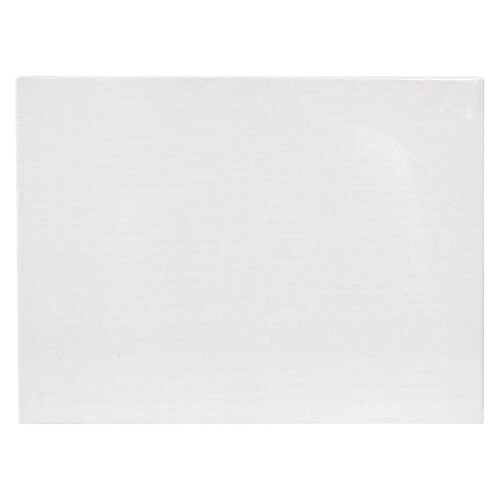 Creative School Supply Canvas Board Adult 12x16in