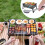 Grill Scraper Brush, Ergonomic Cleaning Tool for Removing Dirt, Sta 2