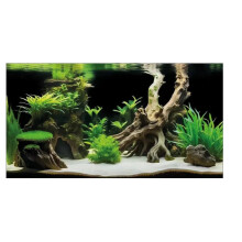 (60x30cm) Superfish Decorative Poster Aquarium Fish Tank Background