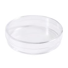 10 Stueck Sterile Petrischalen mit Lids fuer Lab-Platte Bakterielle Hefe 55 mm x 15