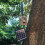 Hunting Trail Camera Tree Mount with 360 Rotating Ball Head, 3 pieces 2