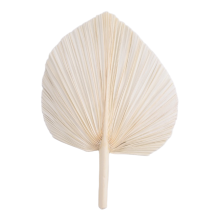 GroßE WeißE Getrocknete PalmbläTter - Premium-QualitäT 3 StüCk Elegante Moderne Boho-Heim- und Hochzeitsdekoration Wandkunst