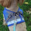 (XL, Gray) Cat Harness, Cat Harness Escape Proof 3